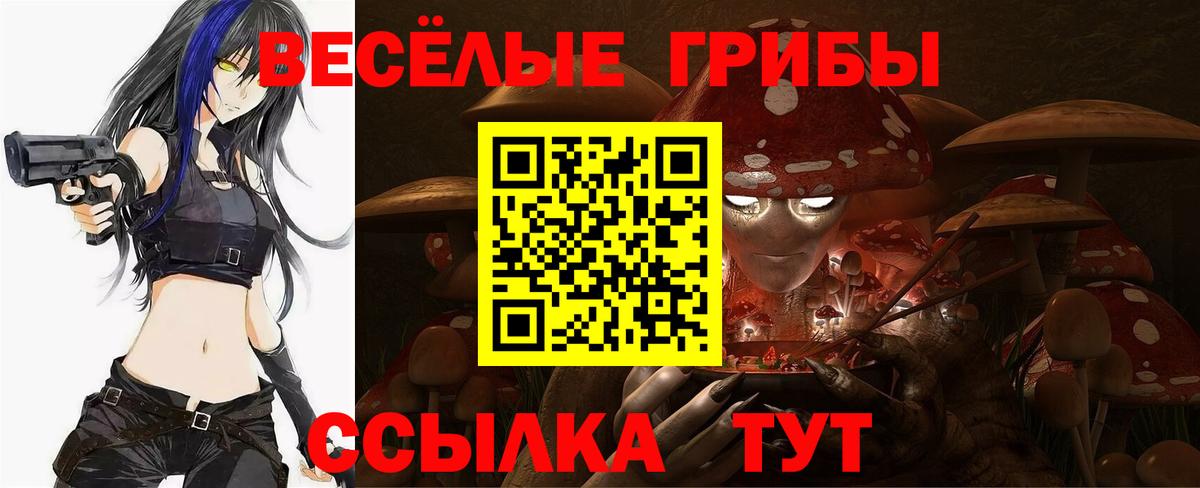 Советский  Псилоцибиновые грибы Psilocybe  Вход с VPN 